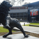 KNVB opent aanvraagperiode voor wisselen van speeldag in seizoen 2027/’28
