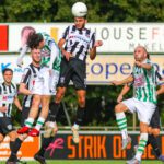 Reuzendoder Zwaluwen boekt derde overwinning op rij